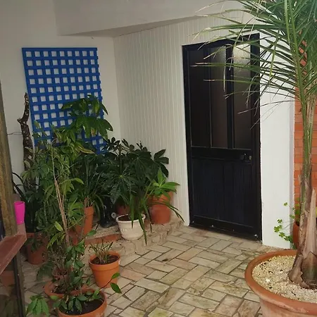 One Bedroom At 100 M Away From The Beach With Enclosed Garden And Wifi 公寓 *